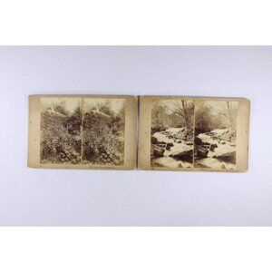 Antique photographic stereo cards set of 2, stereoscopic images of a forest,